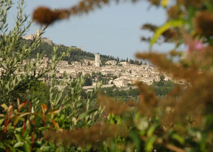 Il Podere Del Falco