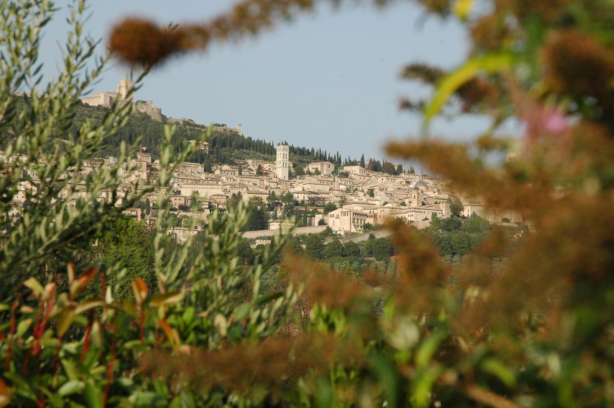 Country house Il Podere Del Falco *