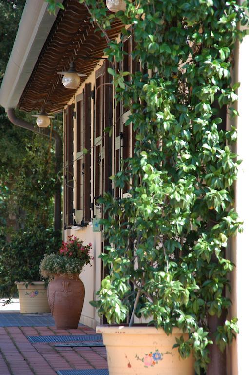 Il Podere Del Falco Assisi